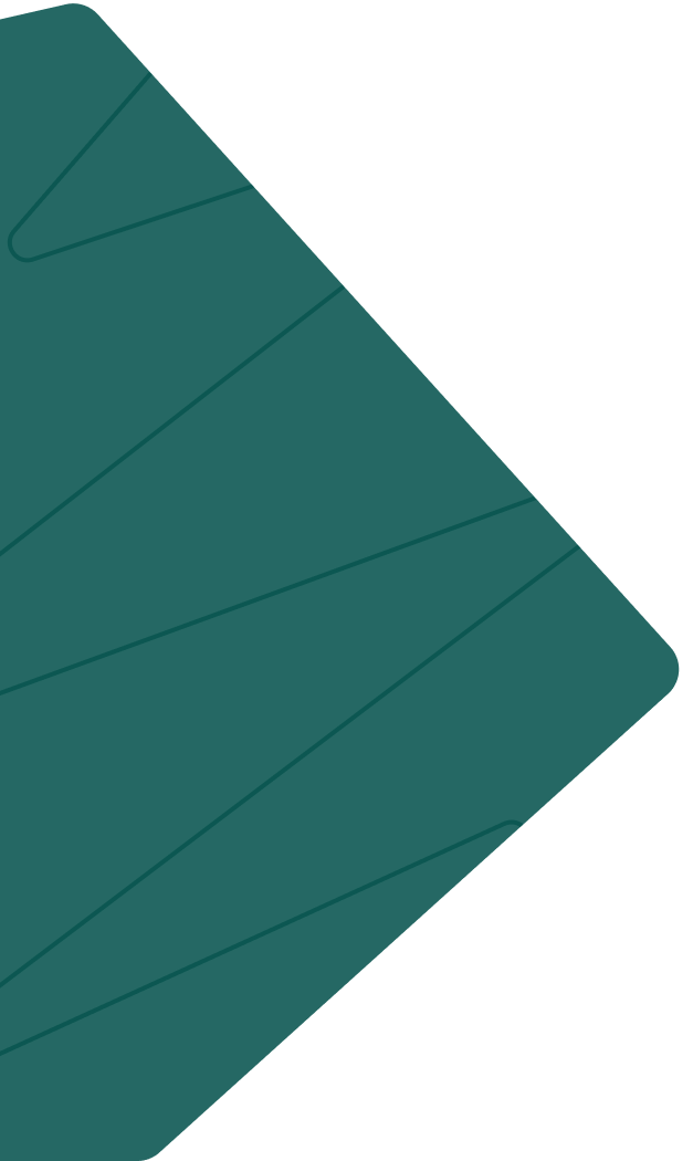 Digital Marketing Agency