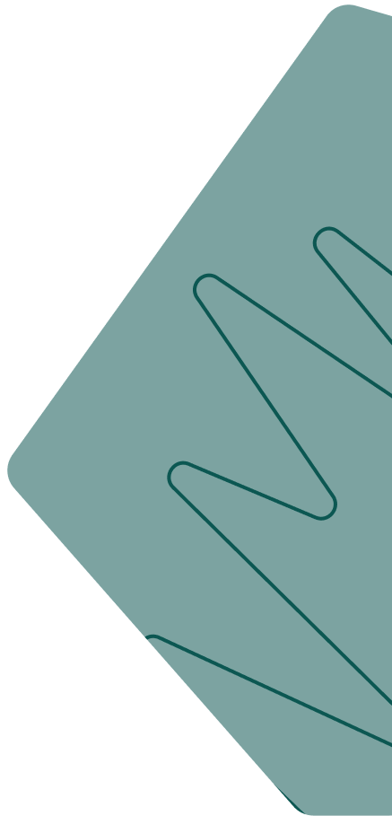 Digital Marketing Agency